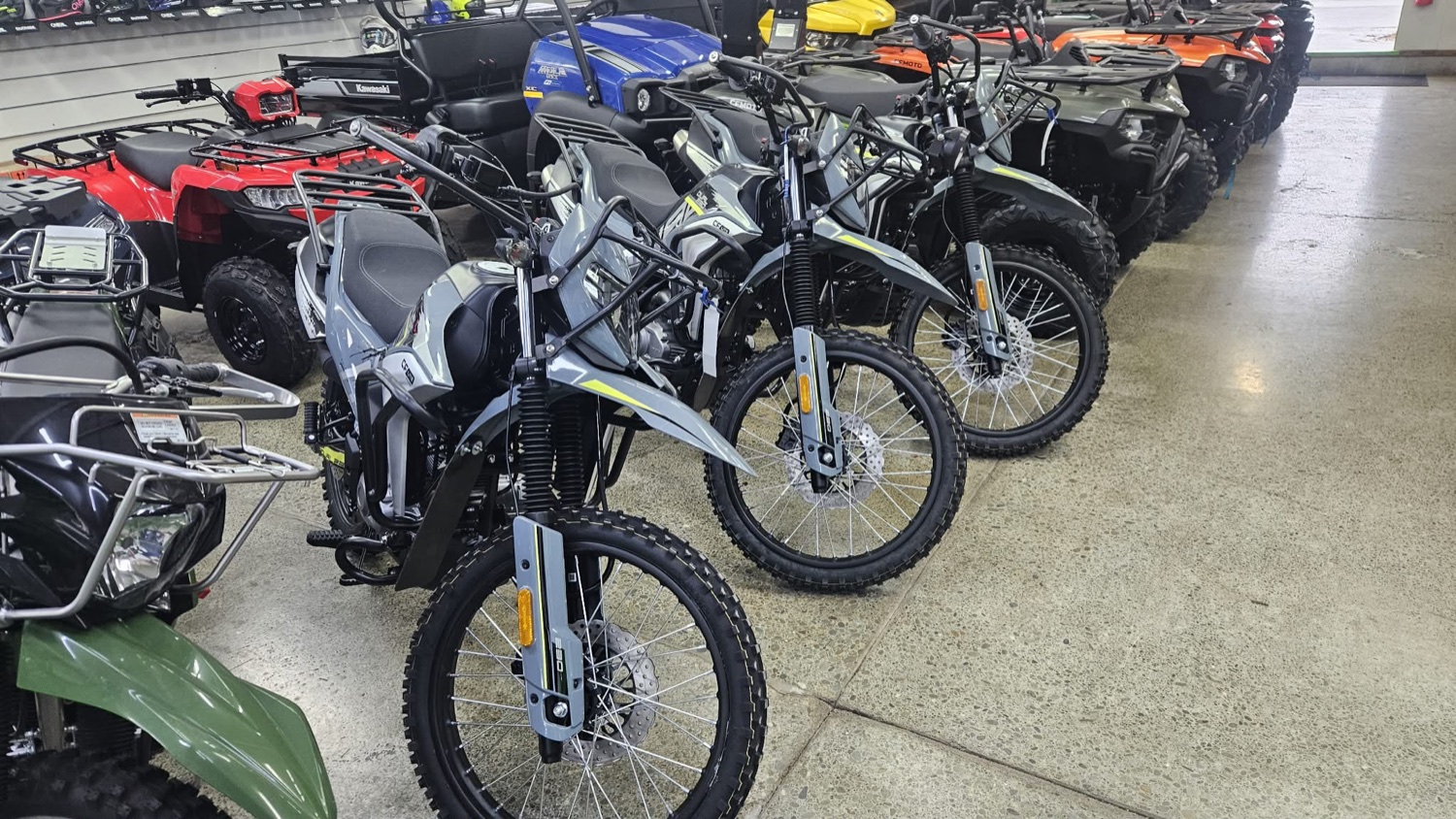 Rows of motorcycles inside Motoworx Winton